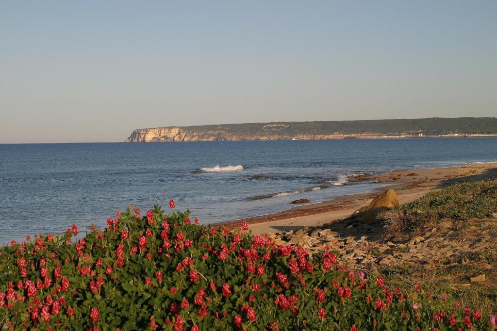 Finca El Abuelo Barbate Rom bilde